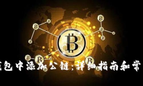 如何在TP钱包中添加公链：详细指南和常见问题解答