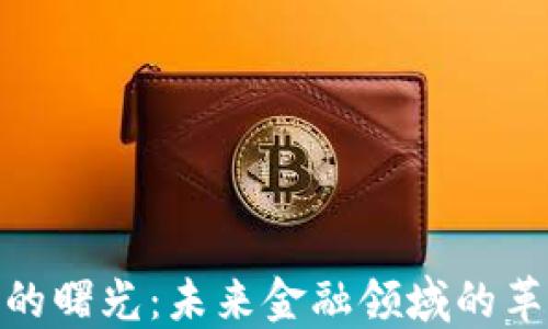 
加密货币的曙光：未来金融领域的革命性变化