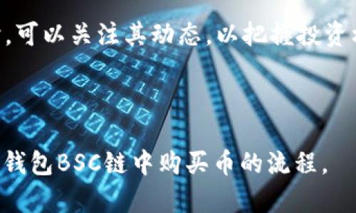    如何在TP钱包BSC链中购买币  / 
 guanjianci  TP钱包, BSC链, 数字货币, 购买方式  /guanjianci 

## 内容主体大纲

### 1. 引言
   - 1.1 TP钱包概述
   - 1.2 BSC链的特点与优势
   - 1.3 购买币的必要性与重要性

### 2. TP钱包的安装与设置
   - 2.1 如何下载与安装TP钱包
   - 2.2 创建或导入钱包
   - 2.3 钱包的基本设置

### 3. BSC链介绍
   - 3.1 什么是BSC链？
   - 3.2 BSC链的优势与劣势
   - 3.3 BSC链的生态系统

### 4. 如何在TP钱包中购买币
   - 4.1 准备工作
       - 4.1.1 获取BSC链的币
       - 4.1.2 确认钱包地址
   - 4.2 使用法币购买币
       - 4.2.1 如何绑定银行卡
       - 4.2.2 选择购买方式
   - 4.3 使用其他数字货币购买
       - 4.3.1 转账步骤
       - 4.3.2 交易确认

### 5. 交易后的注意事项
   - 5.1 交易安全性
   - 5.2 如何查看交易记录
   - 5.3 提高钱包安全的方法

### 6. 常见问题解答
   - 6.1 完成交易后如何查看币的余额
   - 6.2 遇到购币失败时的处理办法
   - 6.3 如何确保投资的安全性
   - 6.4 何时选择提币至交易所
   - 6.5 BSC链与其他链的区别
   - 6.6 NFT与BSC链的结合

### 7. 结论
   - 7.1 总结购买币的流程
   - 7.2 BSC链的未来发展

---

## 正文内容

### 1. 引言

#### 1.1 TP钱包概述
TP钱包是一款功能强大且用户友好的数字货币钱包，支持多个区块链的资产存储和管理。通过TP钱包，用户可以轻松访问去中心化金融（DeFi）应用、非同质化代币（NFT）和其他区块链服务。

#### 1.2 BSC链的特点与优势
币安智能链（BSC）是币安推出的一条高效、低成本的智能合约区块链，兼容以太坊虚拟机。由于其交易速度快、手续费低，越来越多的用户和项目选择在BSC上进行操作。

#### 1.3 购买币的必要性与重要性
随着区块链技术的兴起以及数字货币的普及，了解如何在TP钱包中购买币，成为进入加密世界的第一步。投资数字货币不仅是一种财富增值的策略，同时也是参与未来金融趋势的重要途径。

### 2. TP钱包的安装与设置

#### 2.1 如何下载与安装TP钱包
用户可以通过官网下载TP钱包的最新版本，适配多种设备，包含360和安卓系统。安装步骤简单，只需按照提示进行即可。

#### 2.2 创建或导入钱包
用户可以根据自身需求选择创建新钱包或导入已有钱包。创建新钱包时，请务必妥善保存助记词，避免遗失；而导入已有钱包则需输入正确的助记词或私钥。

#### 2.3 钱包的基本设置
设置完成后，用户可以根据自己的需求设定钱包的安全措施，如设置密码、开启指纹识别等，确保资产的安全。

### 3. BSC链介绍

#### 3.1 什么是BSC链？
BSC链旨在提供一个高效的区块链环境，支持智能合约的开发与应用，成为以太坊的一个竞争者。结合币安的资源，BSC吸引了大量开发者和用户。

#### 3.2 BSC链的优势与劣势
相较于以太坊，BSC的主要优势在于更低的交易费用和更快的交易确认时间，但缺乏较高的去中心化程度可能是其劣势之一。

#### 3.3 BSC链的生态系统
BSC链上有众多DeFi项目、交易所和基础设施，构成了一个繁荣的生态系统，用户可在其中自由交易和参与各种投资活动。

### 4. 如何在TP钱包中购买币

#### 4.1 准备工作
##### 4.1.1 获取BSC链的币
在购买数字货币之前，用户需确保在TP钱包中有足够的BNB（币安币）用于交易手续费，BNB是BSC链独有的管理币，用户可通过交易所进行购买并转入钱包。

##### 4.1.2 确认钱包地址
在TP钱包中查看自己的地址，确保复制的是无误的地址，为后续转账做好准备。

#### 4.2 使用法币购买币
##### 4.2.1 如何绑定银行卡
在TP钱包中选择法币交易功能，需先完成身份验证并绑定银行卡。用户需要遵循相关法规，提供真实的信息。

##### 4.2.2 选择购买方式
用户可以选择使用信用卡或借记卡购买，创建订单时需输入购买的金额并确认后进行支付。

#### 4.3 使用其他数字货币购买
##### 4.3.1 转账步骤
如果用户已经拥有其他数字货币，可以选择通过币币交易的方式进行购买。用户需找到合适的交易对，进行资产的转账。

##### 4.3.2 交易确认
完成交易后，用户可以在TP钱包的交易记录中查看交易状态，确认币已经成功到账。

### 5. 交易后的注意事项

#### 5.1 交易安全性
用户需要保持对交易的警觉性，尽量避免在公共网络环境下进行交易，并不轻信陌生人的交易建议。

#### 5.2 如何查看交易记录
在TP钱包中，用户可以方便地查看交易记录，确保所有的交易都已成功完成，若出现问题需及时与客服沟通。

#### 5.3 提高钱包安全的方法
建议用户定期更改密码、启用双重身份验证等安全措施，确保资产安全。同时，不要将私钥和助记词分享给他人。

### 6. 常见问题解答

#### 6.1 完成交易后如何查看币的余额
用户可以在TP钱包的主界面查看已购买币的余额，所有的资产都会在此显示，用户需要注意刷新数据以获得真实的余额信息。

#### 6.2 遇到购币失败时的处理办法
如果交易未能成功，用户应首先检查网络状况，查看是否由于区块链拥堵导致的延误。如果问题仍然存在，可以尝试联系客服进行解决。

#### 6.3 如何确保投资的安全性
投资数字货币时，需对市场进行研究，分散投资可以降低风险，同时需保持谨慎，不盲目跟风，选择适合自己的投资策略。

#### 6.4 何时选择提币至交易所
当用户希望进行更多投资、交易或者将资产转换为法币时，可选择将资产提币至交易所。应随时关注市场波动，以选择最佳时机。

#### 6.5 BSC链与其他链的区别
BSC链相较于以太坊链的优势在于更低的交易费用和更快的速度，而在去中心化程度上，可能以太坊更胜一筹。

#### 6.6 NFT与BSC链的结合
BSC链逐渐支持NFT市场的建设，用户可通过TP钱包参与购买和出售NFT，BSC链的低手续费吸引了大量NFT项目的上线。

### 7. 结论

#### 7.1 总结购买币的流程
在TP钱包中购买币的流程相对简单，从下载软件到完成交易，用户只需遵循步骤即可，确保安全与效率。

#### 7.2 BSC链的未来发展
未来BSC链将在生态建设、技术改进和应用场景上继续发展，用户在选择投资时，可以关注其动态，以把握投资机会。

---

以上为详细的内容大纲及相应的介绍。希望以上信息能帮助用户熟悉如何在TP钱包BSC链中购买币的流程。