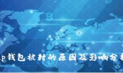 tp钱包被封的原因及影响分