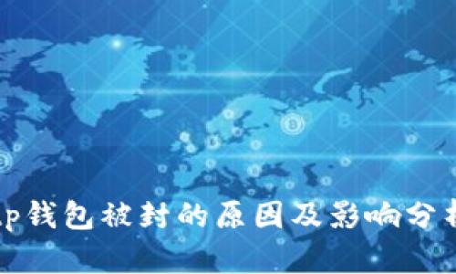 tp钱包被封的原因及影响分析