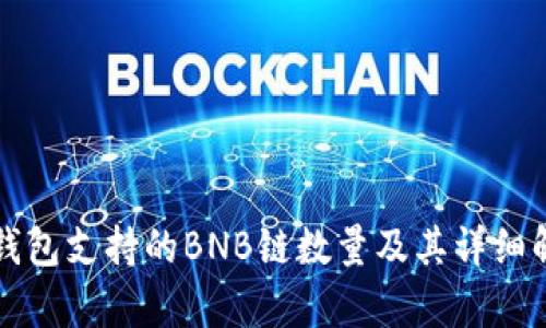 TP钱包支持的BNB链数量及其详细解析