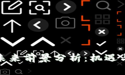 加密货币未来前景分析：机遇与挑战并存