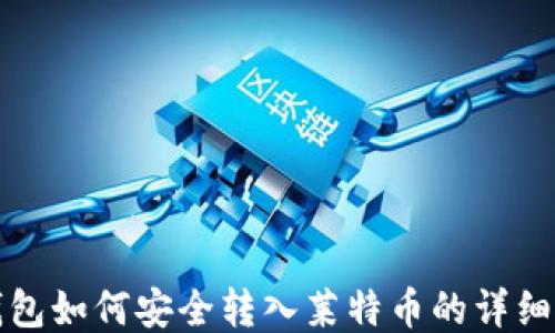 
TP钱包如何安全转入莱特币的详细指南