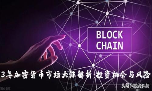 2023年加密货币市场大涨解析：投资机会与风险并存