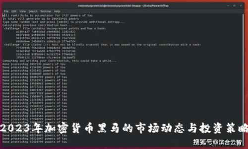 2023年加密货币黑马的市场动态与投资策略