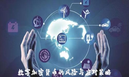 
数字加密货币的风险与应对策略