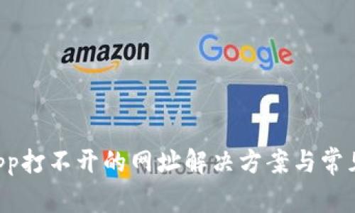 TP钱包DApp打不开的网址解决方案与常见问题解析
