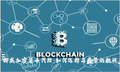 挪威加密货币代理：如何选择与监管的挑战