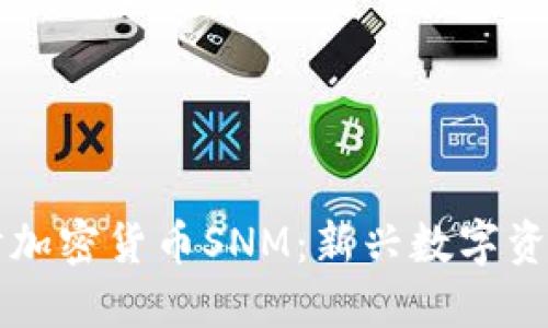 深入探讨加密货币SNM：新兴数字资产的未来