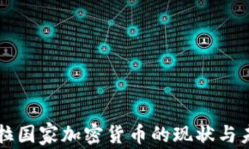 
委内瑞拉国家加密货币的现状与未来展望