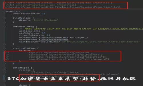 BTC加密货币未来展望：趋势、挑战与机遇
