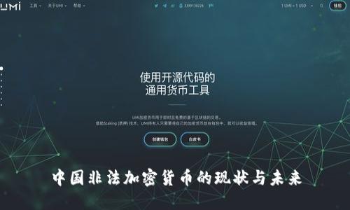 中国非法加密货币的现状与未来