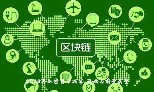 2020年加密货币减半：影响与前景展望