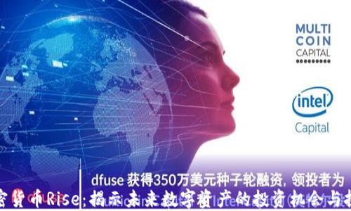 
加密货币Rise：揭示未来数字资产的投资机会与挑战