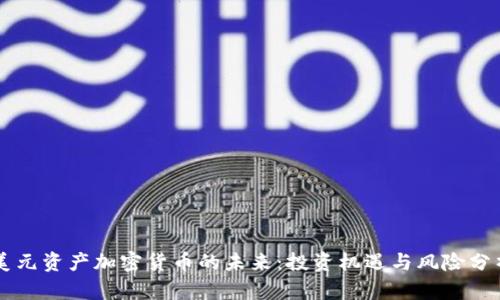 美元资产加密货币的未来：投资机遇与风险分析