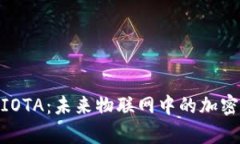 和关键词全面解析IOTA：未