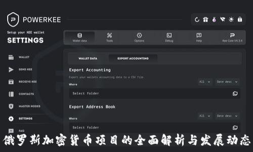   
俄罗斯加密货币项目的全面解析与发展动态