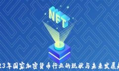 2023年国家加密货币行业的