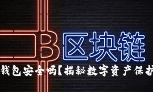 TP身份钱包安全吗？揭秘数字资产保护的未来