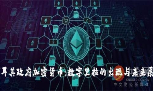 土耳其政府加密货币:数字里拉的出现与未来展望