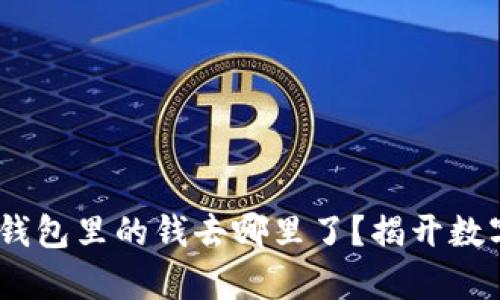 【2023年最新】tp钱包里的钱去哪里了？揭开数字资产消失的真相