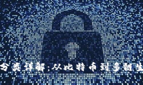 数字货币加密分类详解：从比特币到多链生态的全景探索