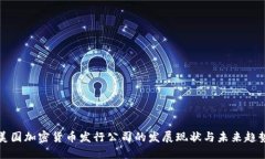 美国加密货币发行公司的