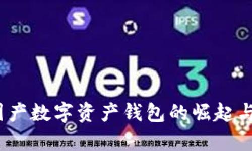 TP钱包：国产数字资产钱包的崛起与前景分析