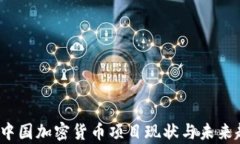 2023年中国加密货币项目现