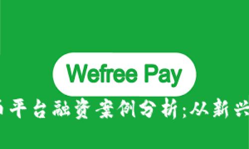 2023年加密货币平台融资案例分析：从新兴趋势到市场机会