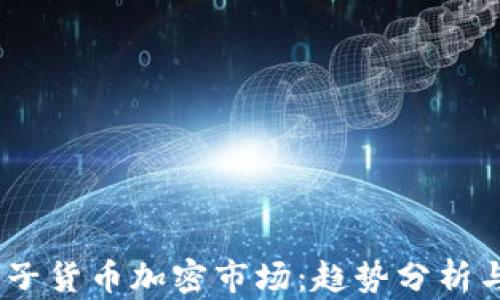 
2023年电子货币加密市场：趋势分析与投资机会