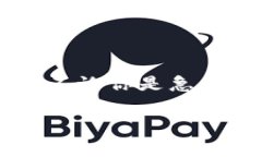 在TP钱包中，贷款能量通常