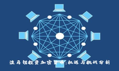 淡马锡投资加密货币：机遇与挑战分析