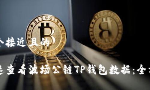 思考一个接近且的

如何快速查看波场公链TP钱包数据：全方位指南