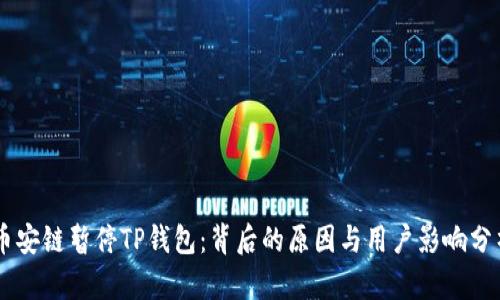 币安链暂停TP钱包：背后的原因与用户影响分析