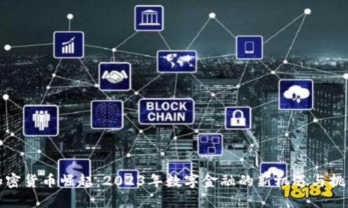 加密货币崛起：2023年数字金融的新机遇与挑战