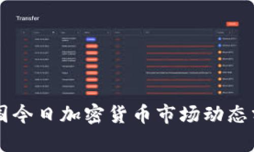 美国今日加密货币市场动态分析