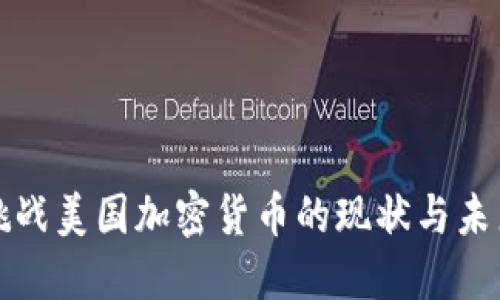 挑战美国加密货币的现状与未来