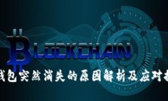 TP钱包突然消失的原因解析