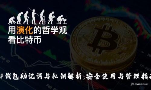 TP钱包助记词与私钥解析：安全使用与管理指南