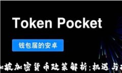 新加坡加密货币政策解析