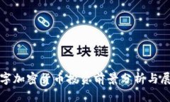 数字加密货币投资前景分