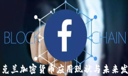 
乌克兰加密货币应用现状与未来发展