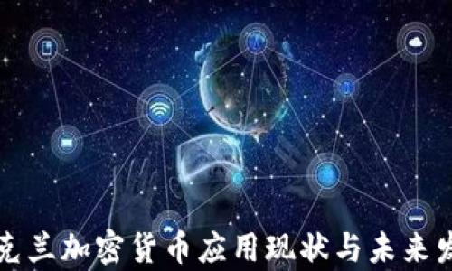 
乌克兰加密货币应用现状与未来发展