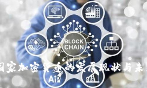 中非国家加密货币的发展现状与未来展望