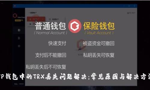 TP钱包中的TRX丢失问题解决：常见原因与解决方法