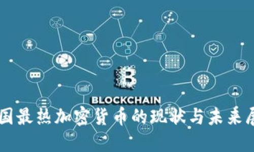 中国最热加密货币的现状与未来展望