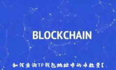   如何查询TP钱包地址中的