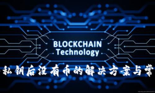 TP钱包导入私钥后没有币的解决方案与常见问题解答